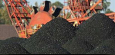 Pet Coke India